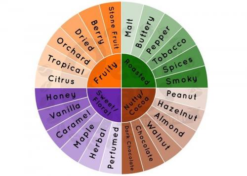 Coffee Tasting Wheel Coffee Tasting Wheel